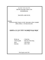 Đánh giá hiện trạng nước thải của khu công nghiệp Sông Công I  Thái Nguyên (Khóa luận tốt nghiệp)