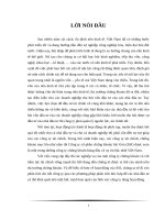 TIỂU LUẬN THỊ TRƯỜNG CHỨNG KHOÁN: phân tích CTCP chứng khoán sài gòn SSI