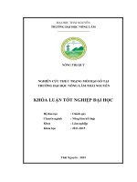 Nghiên cứu thực trạng mối hại gỗ tại trường Đại học Nông Lâm Thái Nguyên (Khóa luận tốt nghiệp)