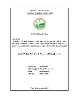 Nghiên cứu ảnh hưởng của chất kích thích ra rễ (IBA) đến sự hình thành cây hom Vù Hương (Cinnmamomun balansae H.Lec) tại Vườn ươm trường Đại Học Nông Lâm Thái Nguyên (Khóa luận tốt nghiệp)