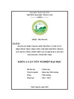 Đánh giá hiện trạng môi trường và đề xuất giải pháp thực hiện tiêu chí môi trường nông thôn mới tại xã Địch Quả  huyện Thanh Sơn  tỉnh Phú Thọ (Khóa luận tốt nghiệp)
