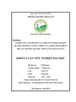 Nghiên cứu ảnh hưởng của một số tổ hợp NPK đến sinh trưởng và phát triển của giống dong riềng DR3 tại trường Đại học Nông Lâm Thái Nguyên (Khóa luận tốt nghiệp)