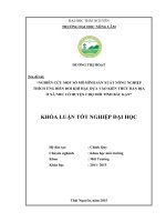Nghiên cứu một số mô hình sản xuất nông nghiệp thích ứng biến đổi khí hậu dựa vào kiến thức bản địa ở xã Như Cố  huyện Chợ Mới  tỉnh Bắc Kạn (Khóa luận tốt nghiệp)