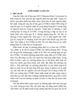 Nghiên cứu đặc điểm lâm sàng, cận lâm sàng và kết quả phẫu thuật cắt gan do ung thư tế bào gan sau nút động mạch gan