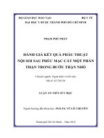 Đánh giá kết quả phẫu thuật nội soi sau phúc mạc cắt một phần thận trong bướu thận nhỏ