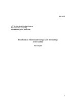 Handbook on mineral accounting for energy and mineral (1)