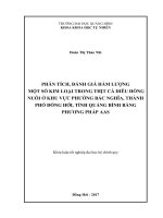 Phân tích, đánh giá hàm lượng một số kim loại trong thịt cá diêu hồng nuôi ở khu vực phường Bắc Nghĩa, thành phố Đồng Hới, tỉnh Quảng Bình bằng phương pháp AAS (Khóa luận tốt nghiệp)