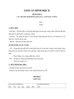 Giáo án Hình học 8 chương 3 bài 8: Các trường hợp đồng dạng của tam giác vuông