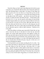 Nghiên cứu thành phần hóa học và hoạt tính chống oxy hóa của một số loài dược liệu của đồng bào Pa Cô và Bru - Vân Kiều, Tỉnh Quảng Trị (TT)