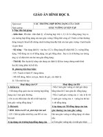 Giáo án Hình học 8 chương 3 bài 8: Các trường hợp đồng dạng của tam giác vuông