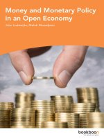 Money and monetary policy in an open economy 