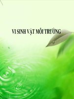 slide thuyet trinh vi sinh vat