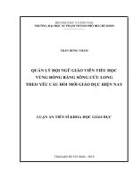 Quản lý đội ngũ GVTH vùng đồng bằng sông Cửu Long theo yêu cầu đổi mới giáo dục hiện nay