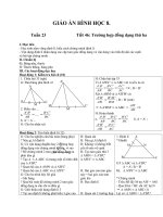 Giáo án Hình học 8 chương 3 bài 7: Trường hợp đồng dạng thứ ba