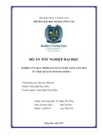 Nghiên cứu quy trình sản xuất nước uống lên men từ trái xoài Mangifera Indica (Đồ án tốt nghiệp)