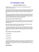 TỔNG QUAN về QUẢN lý dự án tuthienbao com 