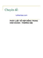 CHUYÊN ĐỀ PHÁP LUẬT VỀ HỢP ĐỒNG TRONG KINH DOANH - THƯƠNG MẠI