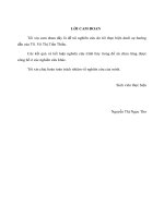 Nghiên cứu và tổng hợp nano Silica từ tro trấu bằng phương pháp kết tủa (Đồ án tốt nghiệp)