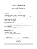 Giáo án Hình học 8 chương 3 bài 7: Trường hợp đồng dạng thứ ba