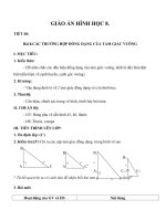Giáo án Hình học 8 chương 3 bài 8: Các trường hợp đồng dạng của tam giác vuông