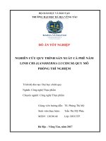 Nghiên cứu quy trình sản xuất cà phê nấm linh chi (Ganoderma Lucidum) quy mô phòng thí nghiệm (Đồ án tốt nghiệp)