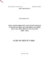 LATS-Thực trạng bệnh sốt xuất huyết Dengue và đánh giá hiệu quả mô hình can thiệp dựa vào cộng đồng ở Tây Nguyên (2005-2014) (FULL TEXT)