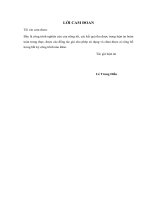 Nghiên cứu thành phần hóa học và hoạt tính chống oxy hóa của một số loài dược liệu của đồng bào pa cô và bru   vân kiều, tỉnh quảng trị 