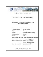 Nghiên cứu điều chế và đánh giá Nano Lycopene (Đồ án tốt nghiệp)