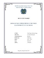 Khảo sát quá trình trích ly thu nhận Flavonoid từ củ cải trắng (Luận văn thạc sĩ)