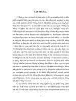 Xây dựng các bộ điều khiển truyền thống dùng cho các hệ thống truyền động điện (Khóa luận tốt nghiệp)