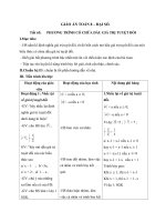 Giáo án Đại số 8 chương 4 bài 5: Phương trình chứa dấu giá trị tuyệt đối