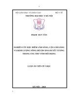 Nghiên cứu đặc điểm lâm sàng, cận lâm sàng và định lượng nồng độ EBV-DNA huyết tương trong ung thư vòm mũi họng (FULL TEXT)