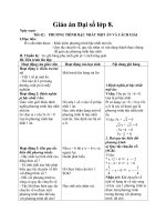 Giáo án Đại số 8 chương 3 bài 2: Phương trình bậc nhất một ẩn