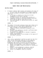 Test bank auditing and assurance principles ch05   audit risk and materiality 