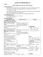 Giáo án Hình học 8 chương 3 bài 4: Khái niệm hai tam giác đồng dạng