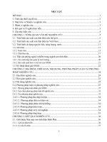 LUAN VAN SON TINH DIEN