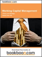 Working capital management 