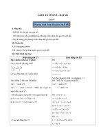 Giáo án Đại số 8 chương 4 bài 5: Phương trình chứa dấu giá trị tuyệt đối