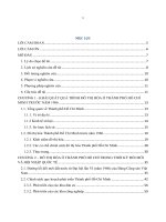 Quá trình đô thị hóa ở Thành phố Hồ Chí Minh giai đoạn 1986  2000 (NCKH)