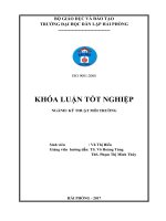 Khảo sát hiệu quả xử lý nước thải dệt nhuộm bằng vật liệu nano titan dioxit tẩm trên sợi thủy tinh (Khóa luận tốt nghiệp)