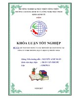 Kế toán bán hàng và xác định kết quả bán hàng Công ty TNHH Thương mại và Dịch vụ Phước Thảo (Khóa luận tốt nghiệp)