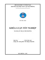 Nghiên cứu một số yếu tố ảnh hưởng đến hiệu quả xử lý nước thải của bãi lọc ngầm trồng cây dòng chảy đứng công suất 3m3 ngày đêm (Khóa luận tốt nghiệp)