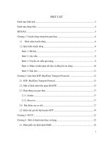 Bài tập lớn mạng máy tính lập trình mô phỏng hoạt động của giao thức RTP