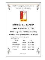Bài tập lớn mạng máy tính lập trình mô phỏng hoạt động của giao thức spanning tree cho bridges