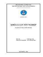 Nghiên cứu ảnh hưởng của sóng siêu âm đến quá trình biến tính than hoạt tính bằng axit sulfuric (Khóa luận tốt nghiệp)