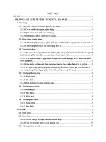 Hoạt động tín dụng đen ở nông thôn (Tiểu luận môn học)