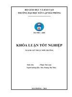 Xử lý nước thải bệnh viện bằng bể tự hoại kết hợp bãi lọc ngầm trồng cây dòng đứng và ứng dụng tính toán mô hình xử lý cho một bệnh viện (Khóa luận tốt nghiệp)
