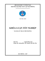 Tìm hiểu quy trình xử lý nước thải tại Công ty TNHH Somerset Hải Phòng. Bước đầu đánh giá khả năng tiếp nhận nước thải của sông Cấm (Khóa luận tốt nghiệp)