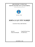 Nghiên cứu xử lý nước thải sản xuất mắm bằng bãi lọc trồng cây cỏ nến dòng chảy đứng (Khóa luận tốt nghiệp)