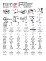 CHỮA BỆNH KẾT HỢP TRONG Y HỌC CỔ TRUYỀN